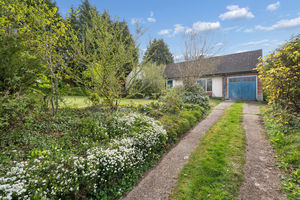 Photo 13- click for photo gallery